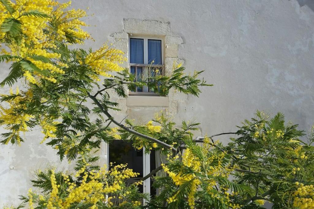 Le Chai Rit Villa Rivedoux-Plage Exterior foto
